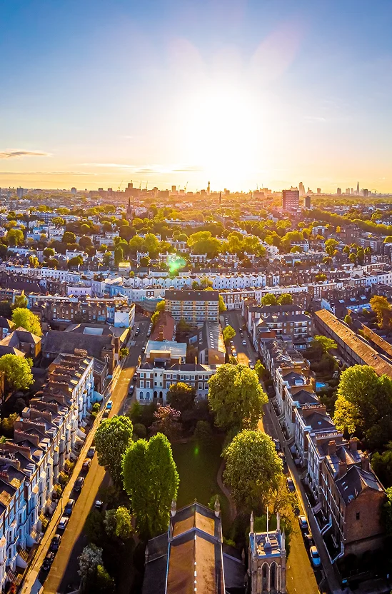 Aerial view of a cityscape at sunset with rows of houses, trees, and skyline in the distance.